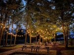Fire pit and picnic area is magical at night 